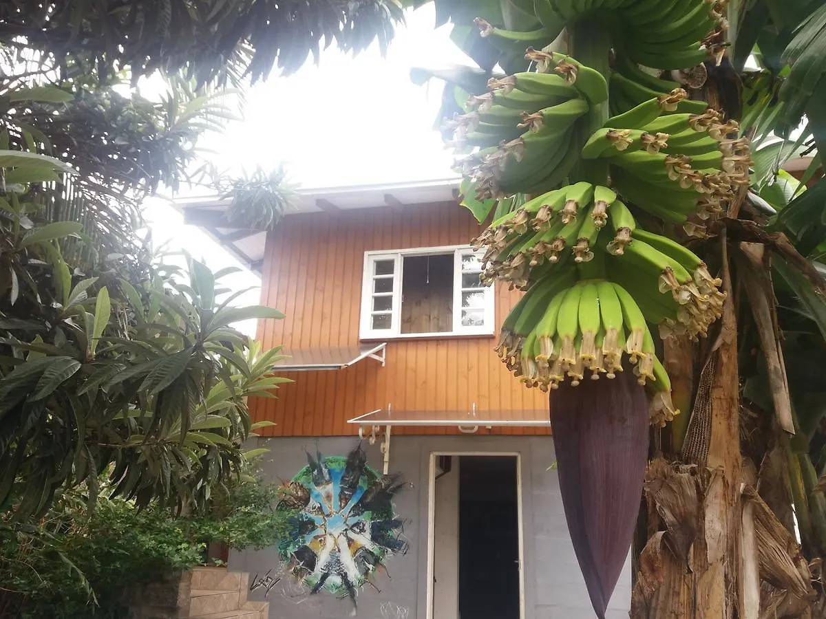 Hostel Casa Terra Florianopolis Brazil